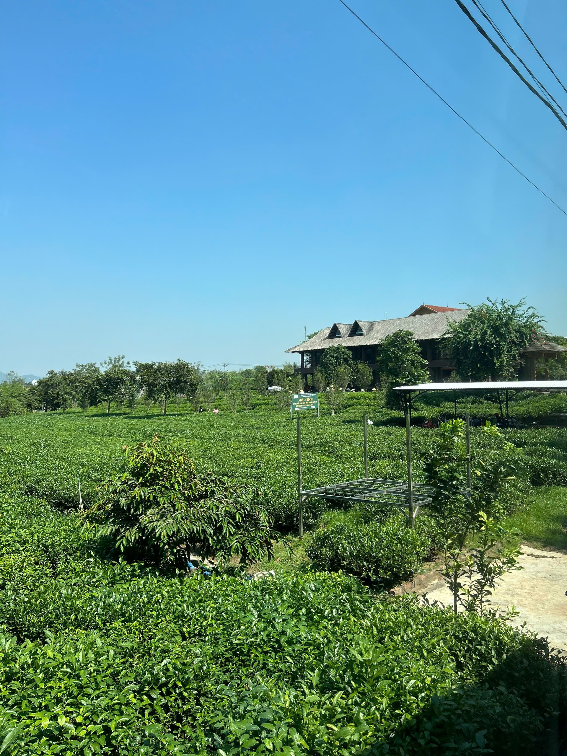 Tour du lịch Hà Nội - Thái Nguyên - Thái Hải 1 ngày 3